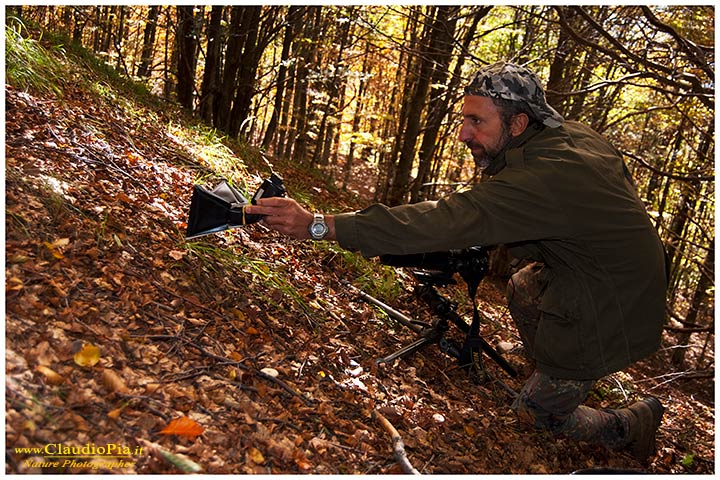 backstage settings claudio pia, fotografia naturalistica